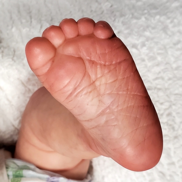 🔴🔴 SOLD 🔴🔴 - Picture 15 of 15